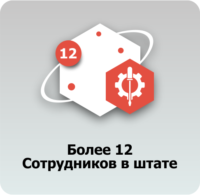 12 сотрудников