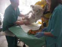 СХВ-П Стол операционный по Виноградову